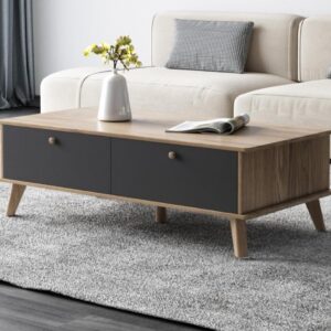 Coffee Table - 40 x 50 x 100 cm - Wood & Grey - CT66