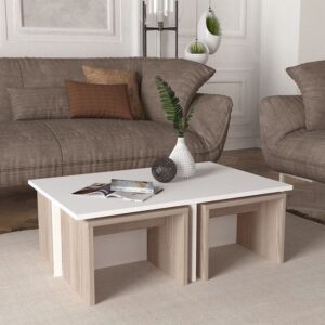 Coffee Table - 45 x 60 x 100 cm - Wood & White - CT67